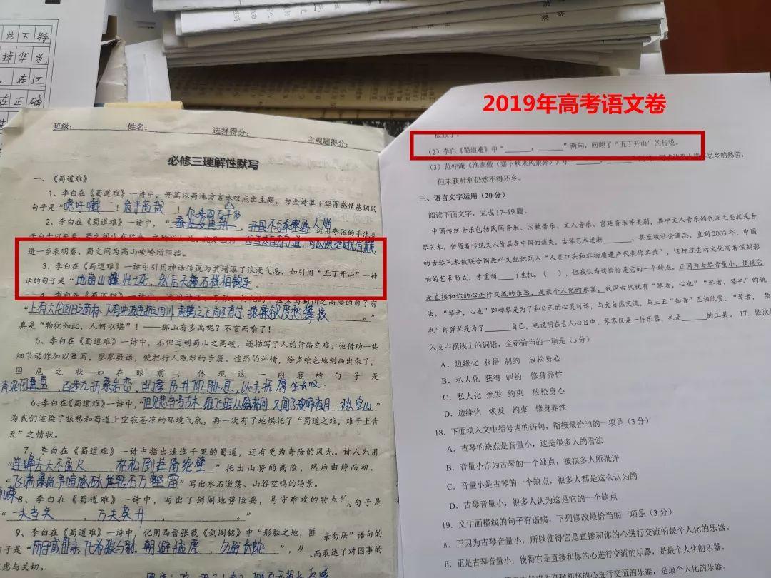 押中高考题、中考题？！西斯达城市森林学校学校“硬核”实力圈粉无数！