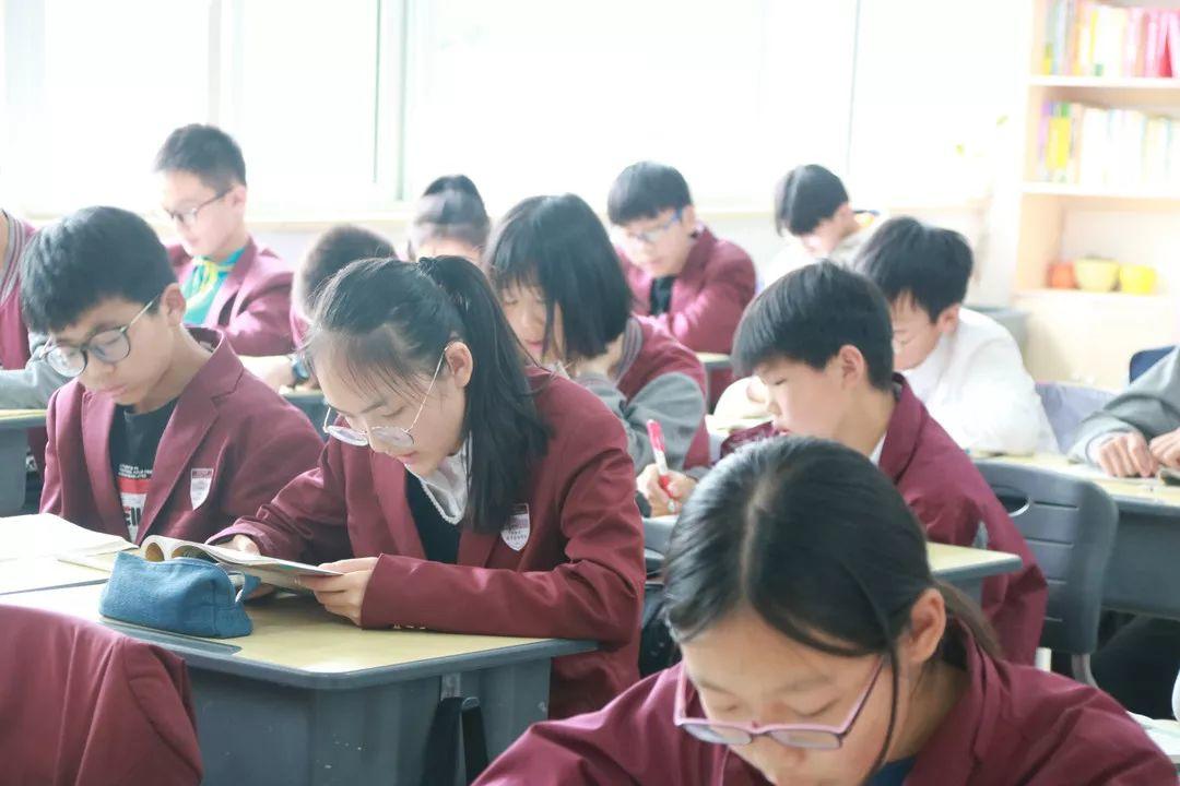 你与清华北大之间只隔了个西斯达城市森林学校! 你与清华北大之间只隔了个西斯达城市森林学校!