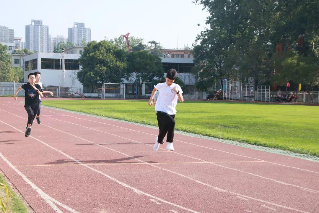 西斯达城市森林学校2019年小升初招生工作方案公布啦~ 西斯达城市森林学校2019年小升初招生工作方案公布啦~