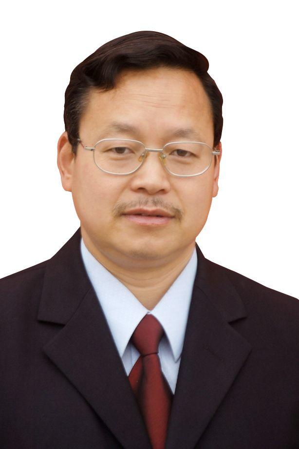 揭秘西斯达城市森林学校崛起的密码! 揭秘西斯达城市森林学校崛起的密码!