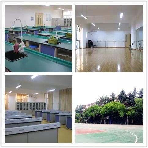 补录!西斯达城市森林学校小升初仅余少量优质学位,想抓住“末班车”的家长赶紧行动起来吧! 补录!西斯达城市森林学校小升初仅余少量优质学位,想抓住“末班车”的家长赶紧行动起来吧!