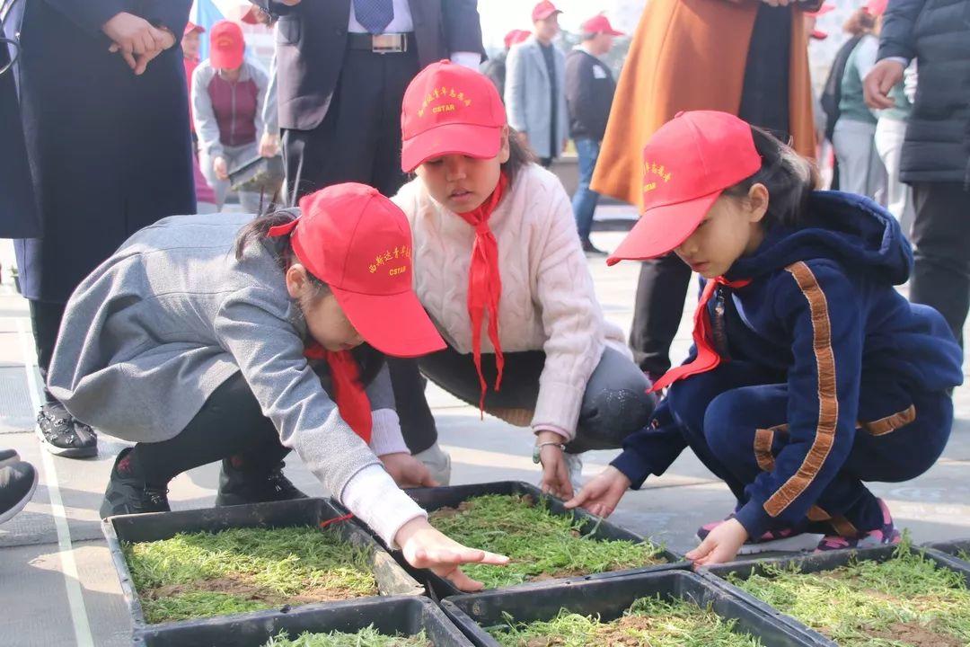 补录！西斯达城市森林学校小升初仅余少量优质学位，想抓住“末班车”的家长赶紧行动起来吧！