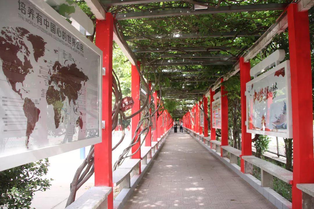 揭秘西斯达城市森林学校崛起的密码! 揭秘西斯达城市森林学校崛起的密码!