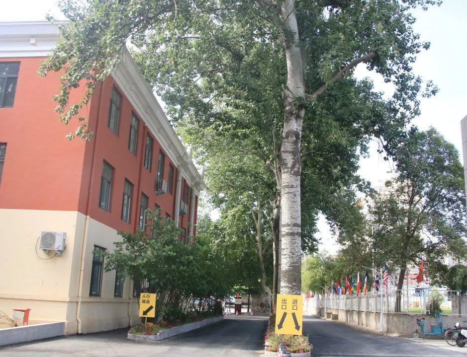 揭秘西斯达城市森林学校崛起的密码! 揭秘西斯达城市森林学校崛起的密码!