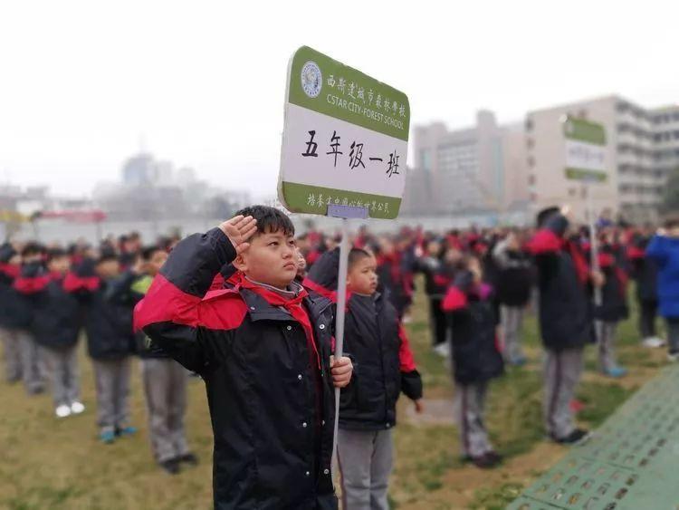 有才你就来！西斯达城市森林学校发布“人才召集令”