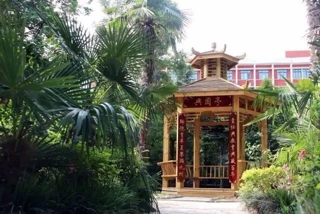 有才你就来!西斯达城市森林学校发布“人才召集令” 有才你就来!西斯达城市森林学校发布“人才召集令”