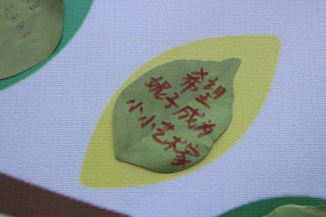 我和国旗同框,庆祖国70华诞——西斯达大树幼儿园隆重举行开学典礼 我和国旗同框,庆祖国70华诞——西斯达大树幼儿园隆重举行开学典礼