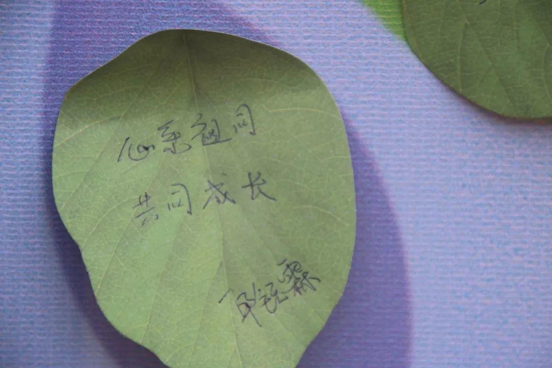 我和国旗同框,庆祖国70华诞——西斯达大树幼儿园隆重举行开学典礼 我和国旗同框,庆祖国70华诞——西斯达大树幼儿园隆重举行开学典礼