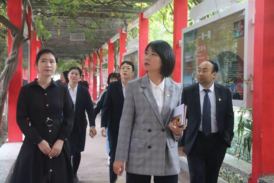郑州市中原区区委第三指导组莅临西斯达城市森林学校检查指导党建工作 郑州市中原区区委第三指导组莅临西斯达城市森林学校检查指导党建工作