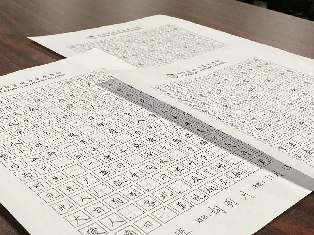 挥毫泼墨书风雅之韵 横平竖直立鸿鹄之志---西斯达城市森林学校初中部举行硬笔书法大赛 挥毫泼墨书风雅之韵 横平竖直立鸿鹄之志---西斯达城市森林学校初中部举行硬笔书法大赛