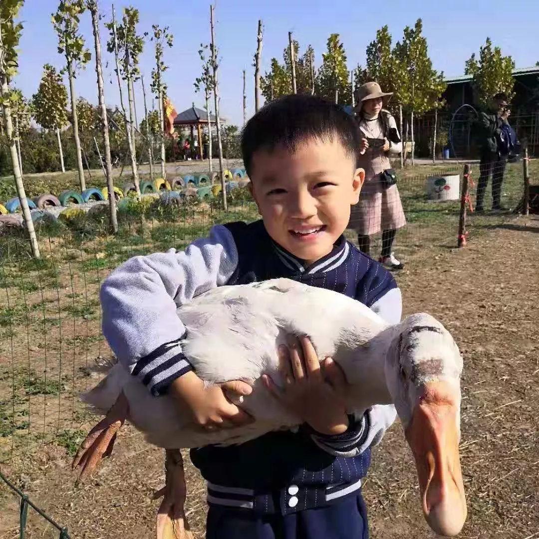 西斯达多元素养秋季亲子户外研学营——让孩子快乐学习! 西斯达多元素养秋季亲子户外研学营——让孩子快乐学习!