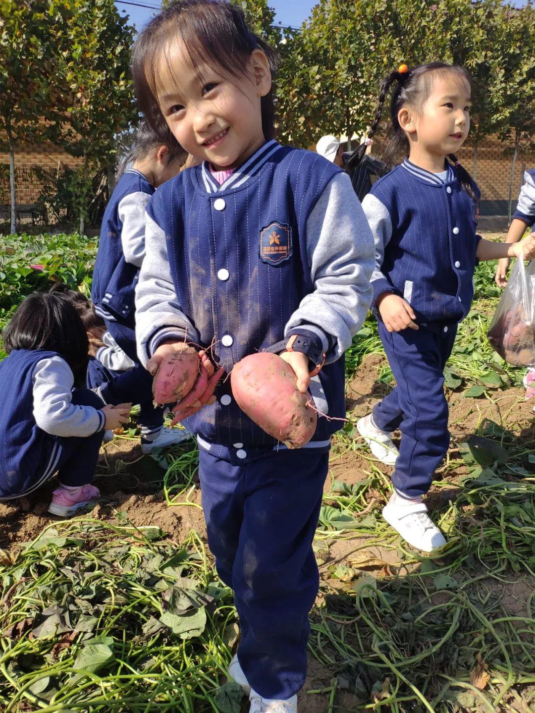 西斯达多元素养秋季亲子户外研学营——让孩子快乐学习！