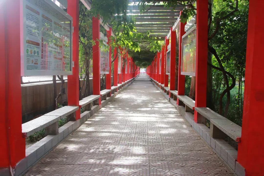 不容错过!艺考生提分就来西斯达高三艺考生文化课冲刺营!学位抢报中...... 不容错过!艺考生提分就来西斯达高三艺考生文化课冲刺营!学位抢报中......