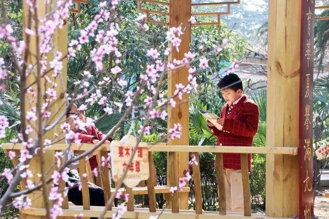 榜上有名！西斯达城市森林学校被评为“2019年度郑州市园林单位”！