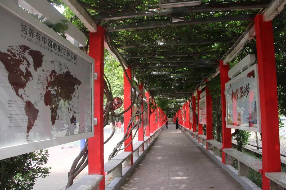 【校园通知】| 西斯达城市森林学校小学部2020年秋季新生报名开始啦！