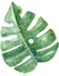 云赏花丨春天里的校园,和记忆中一样美 云赏花丨春天里的校园,和记忆中一样美