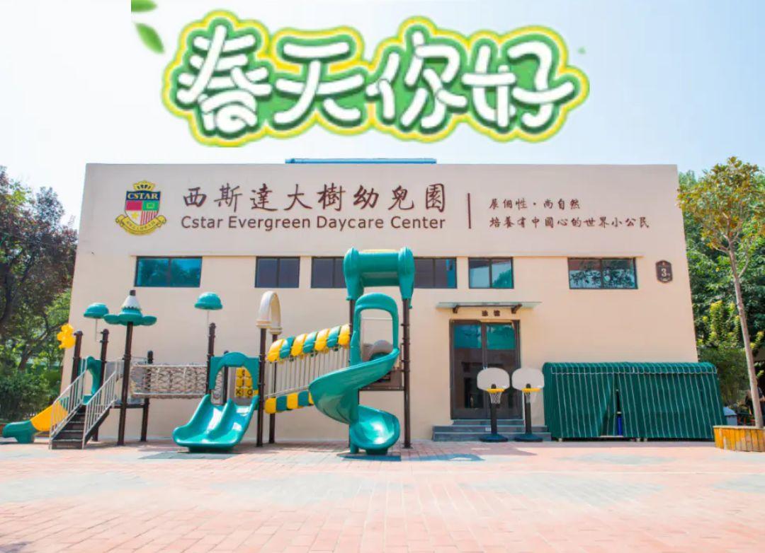 云赏花丨春天里的校园,和记忆中一样美 云赏花丨春天里的校园,和记忆中一样美